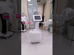 Salon kecantikan Cryolipolysis Slimming Machine 1000W Untuk Pengurangan Lemak Non-bedah